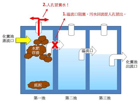 化糞池 位置|化糞池